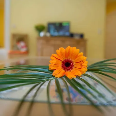 Stadt Residenz We1 We8 - 2 Reihe - Sauna Im Haus Villa *